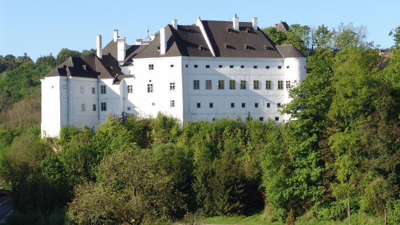 Leiben Castle surrounded by trees, white building with black roofs.