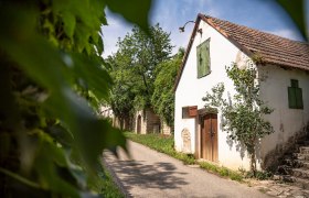 Kellergassse Göttlesbrunn, © Donau Niederösterreich - Tourismusbüro Carnuntum-Marchfeld