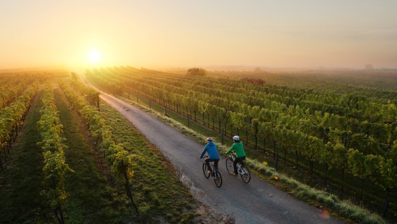 Traisental cycle route, © (c) Mostviertel Tourismus/schwarz-koenig.at