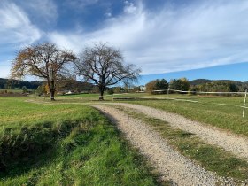 Hoidaweg, © Unknown