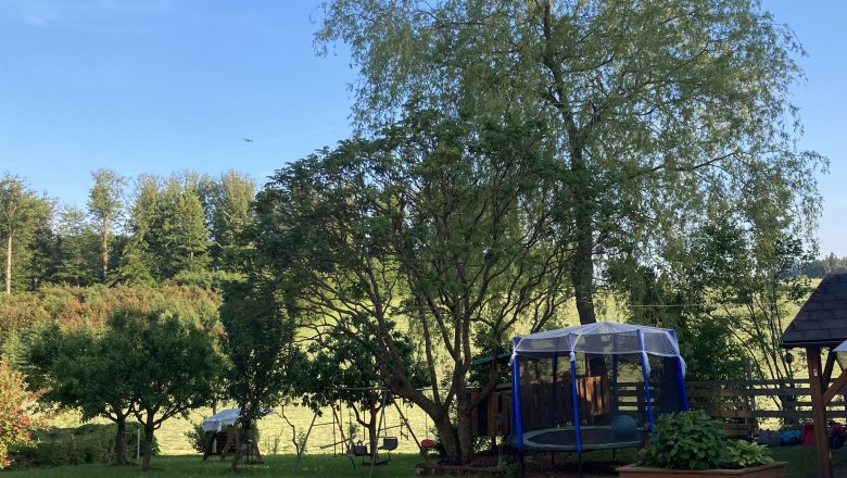 A garden with trampoline, trees and meadow in sunny weather.