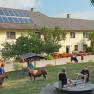 Children playing on a farm with ponies in the foreground.