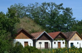Three traditional wine cellars with red roofs in a rural setting, surrounded by trees and sunflowers.