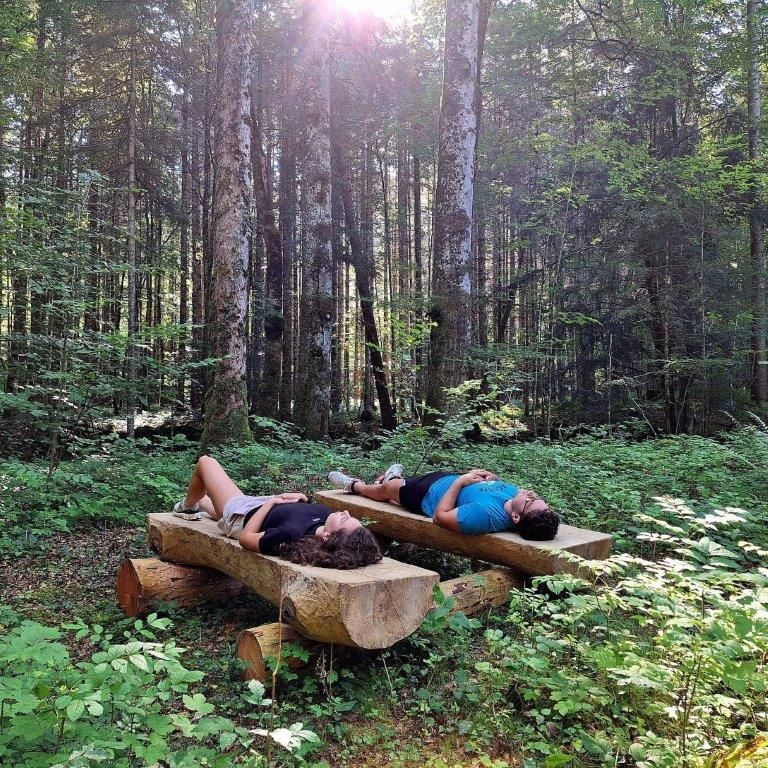 Forest bathing