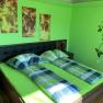 Bedroom with green theme, double bed, murals of grapes and tree decoration.