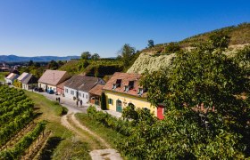 Wine cellar lane in Rohrendorf, &copy; Doris Schwarz-K&ouml;nig