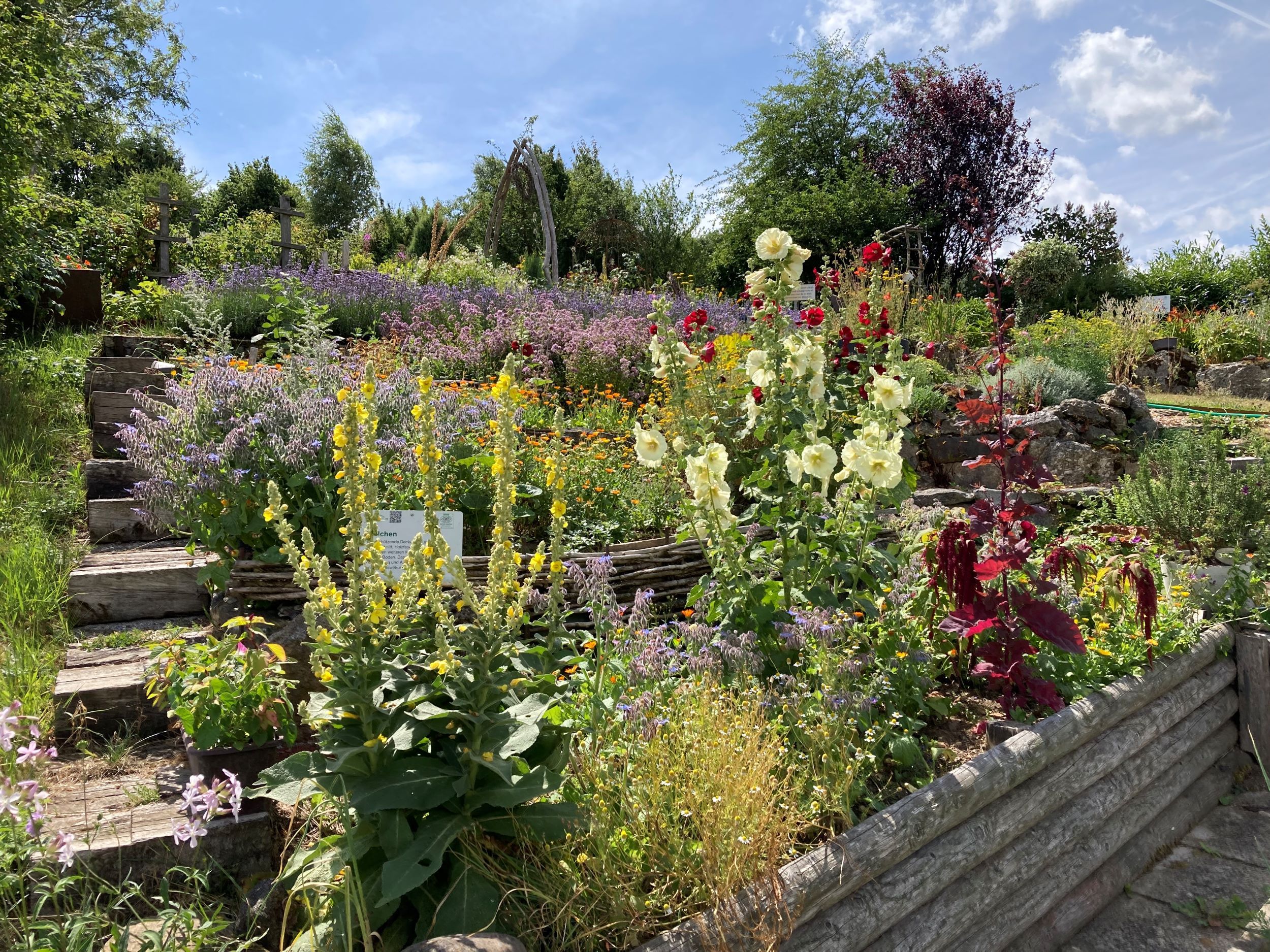 A colorful show garden with various flowers and plants laid out on terraces under a blue sky.