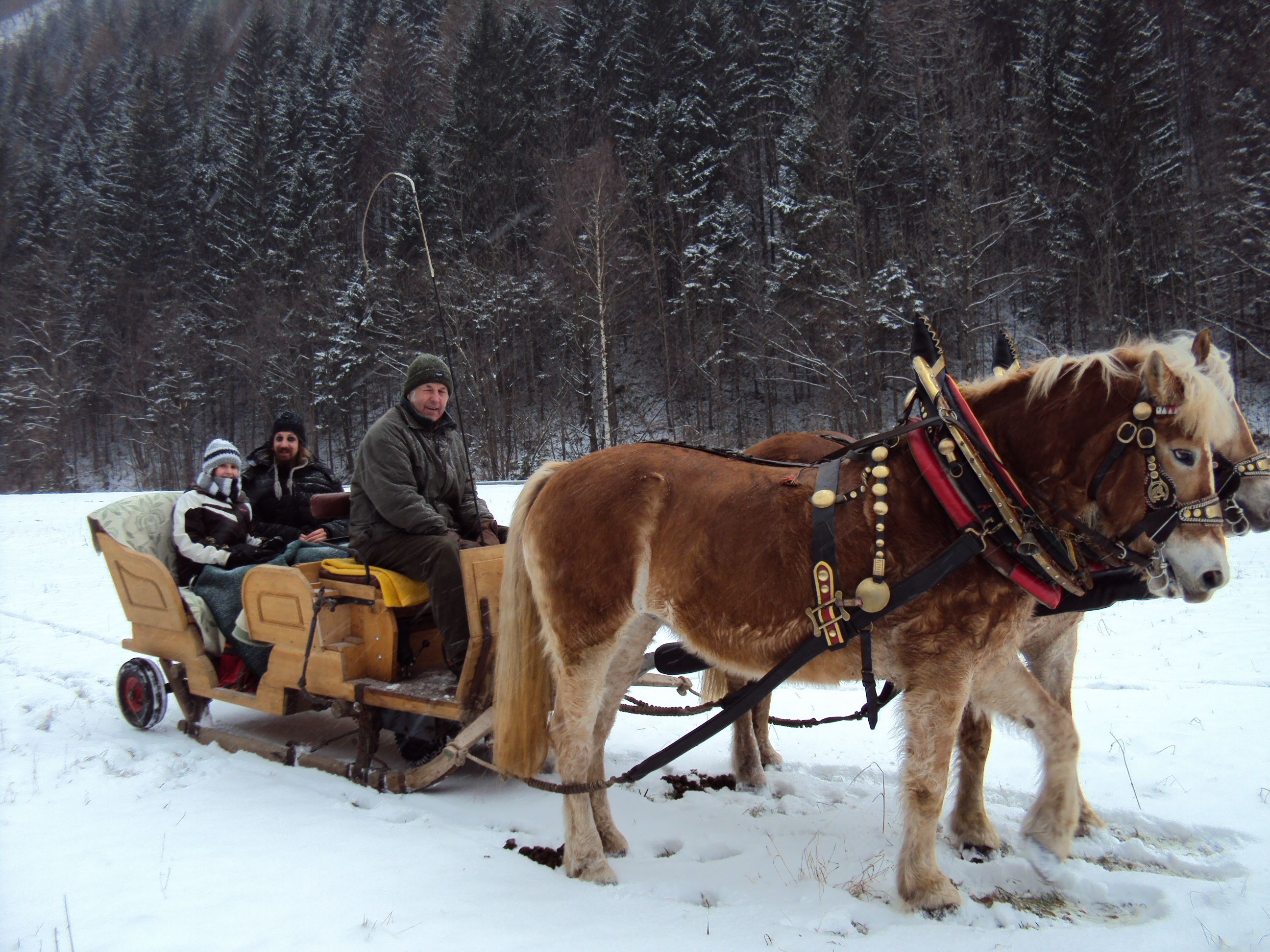 Sledging in winter