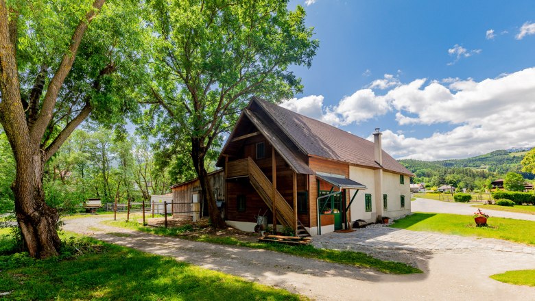 Renovated mill with modern loft, surrounded by trees and meadows.