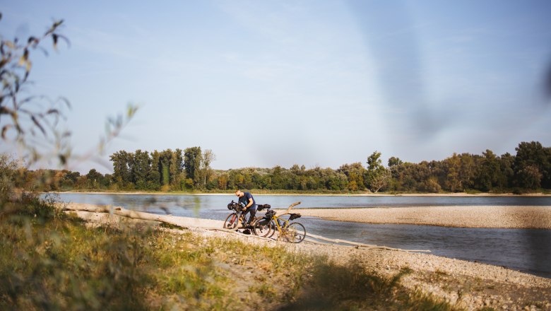 Donauradweg, © Niederösterreich-Werbung/David Schreiber