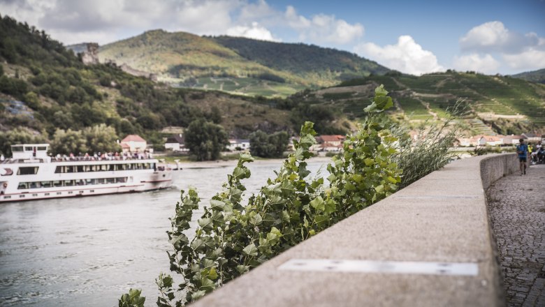 A river with an excursion boat, surrounded by green hills and vineyards, in the foreground a stone wall with plants.