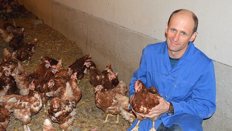 A man smilingly holds a chicken in a chicken coop, surrounded by many other chickens.