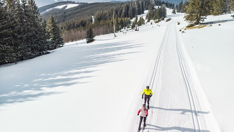 Two cross-country skiers on a snow-covered trail in a wintry forest landscape.