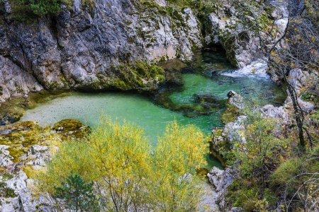 Crystal clear water in the Ötscher gorges, © Fred Lindmoser