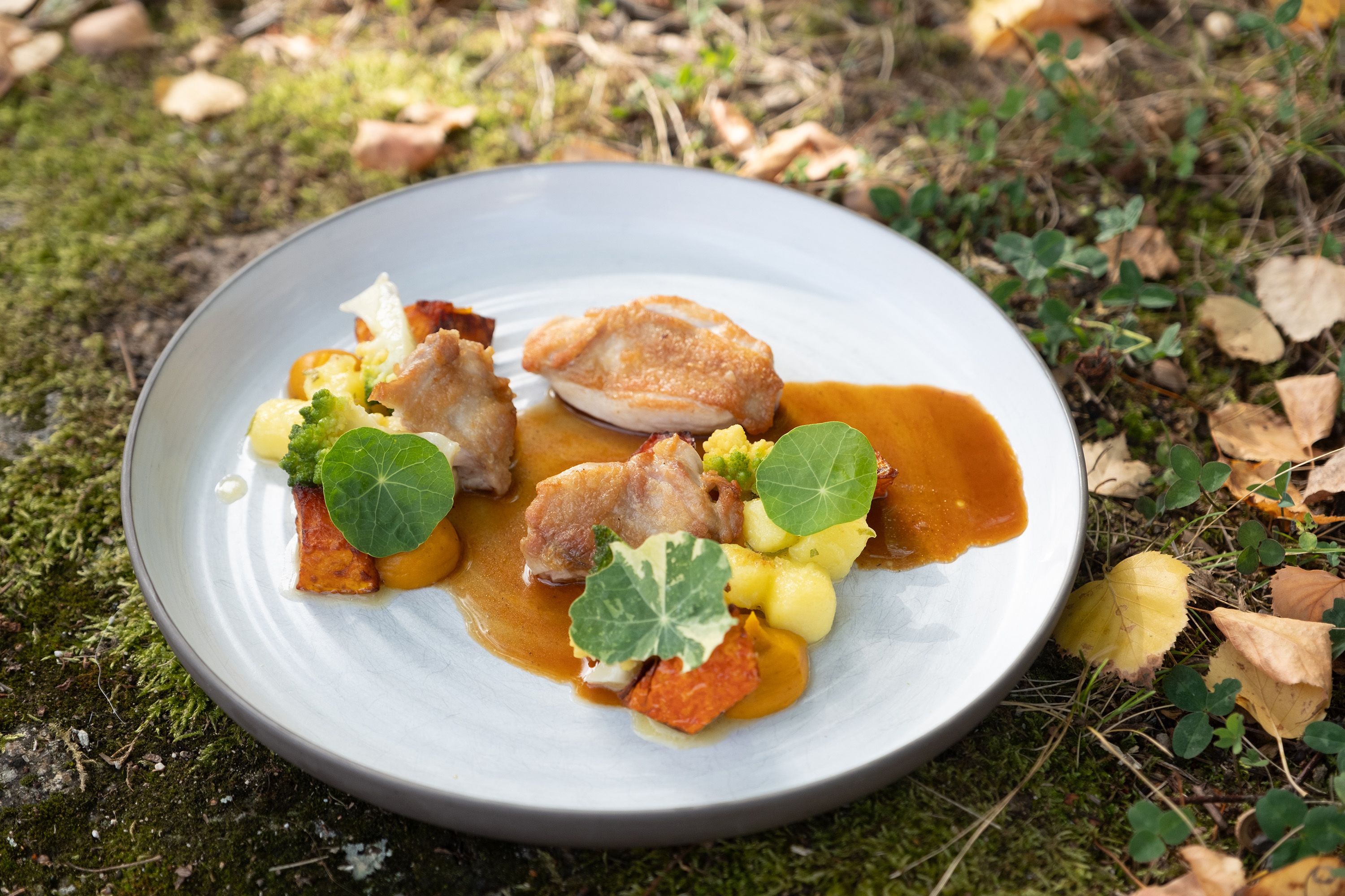 A plate of poussin, pumpkin and green leaves, arranged in a meadow.