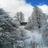 Snowy landscape with a house in the background, surrounded by snow-covered trees and blue sky.