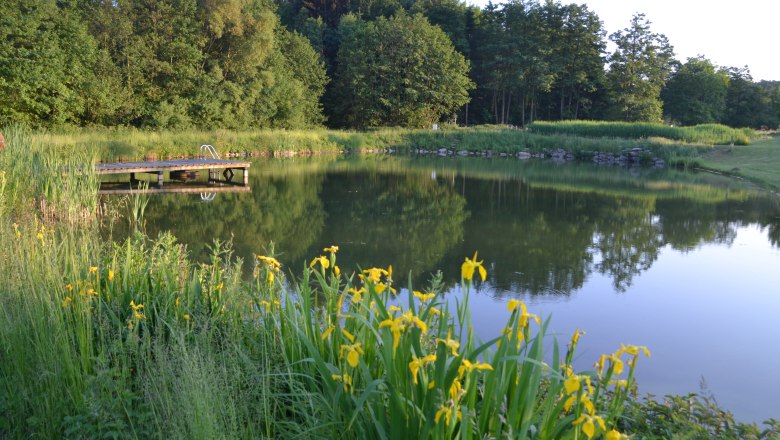Bathing pond, © privat