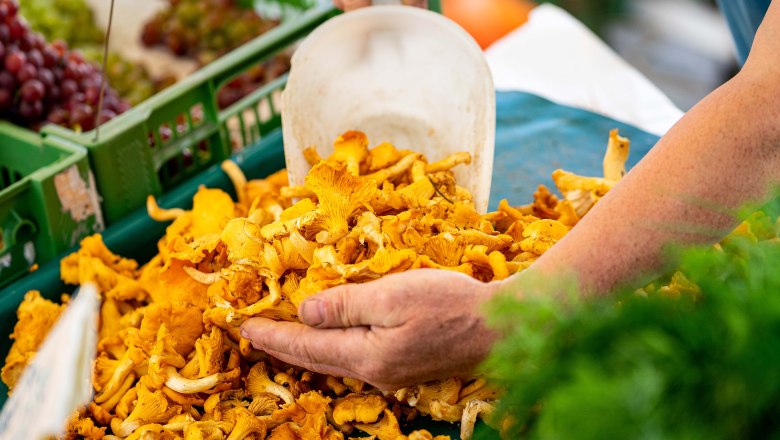 Hands sorting chanterelles on a market stall.