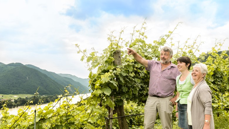 Three people stand in a vineyard and look into the distance.