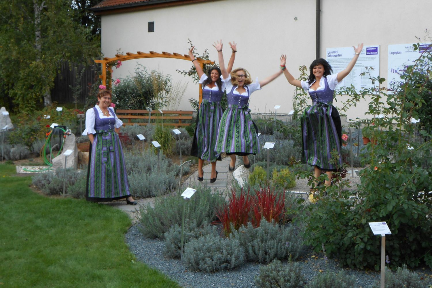 Women in dirndls jump in a field of lavender.