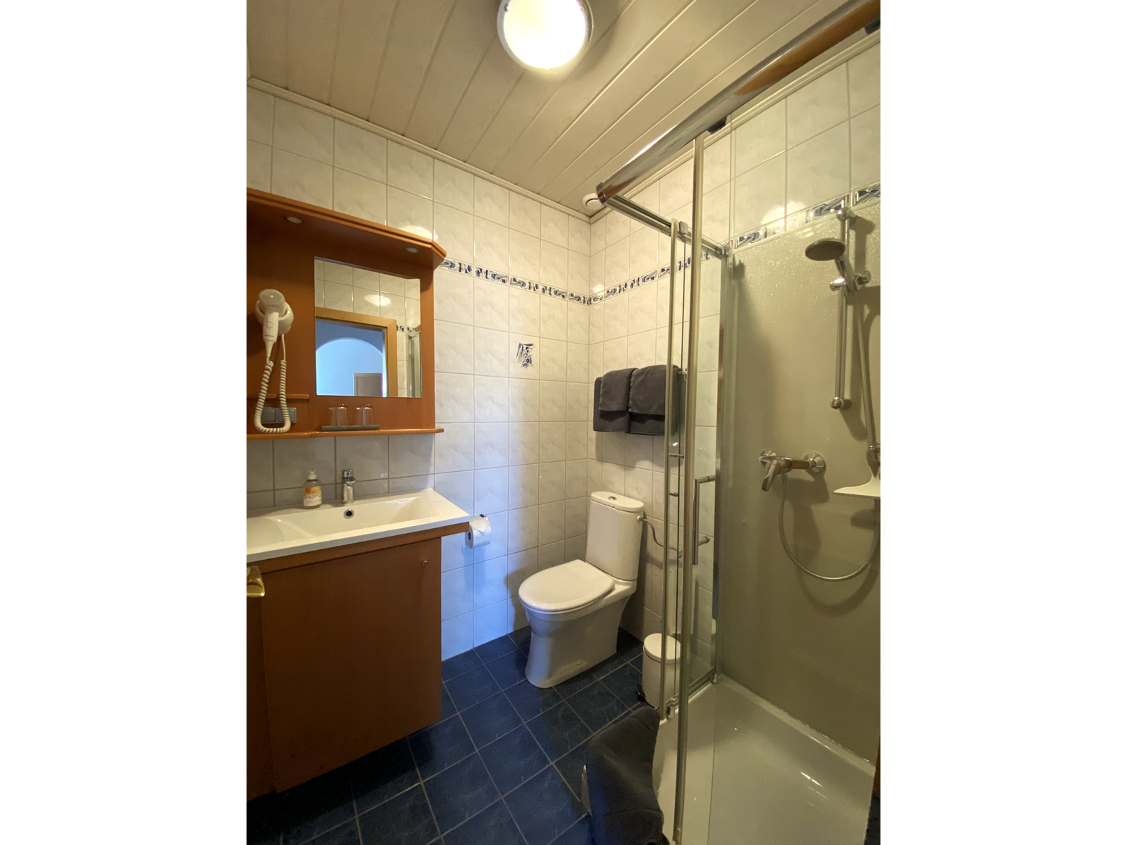Bathroom with shower, washbasin, mirror and toilet.