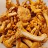 Chanterelles found in the area, © Ferienhaus Leopold