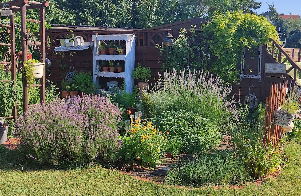 A lush herb garden with lavender, marigolds and various herbs in front of a wooden fence.