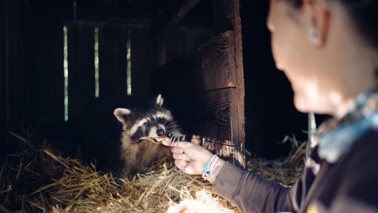 City of Haag Zoo, © Moststraße, dochbodnliacht