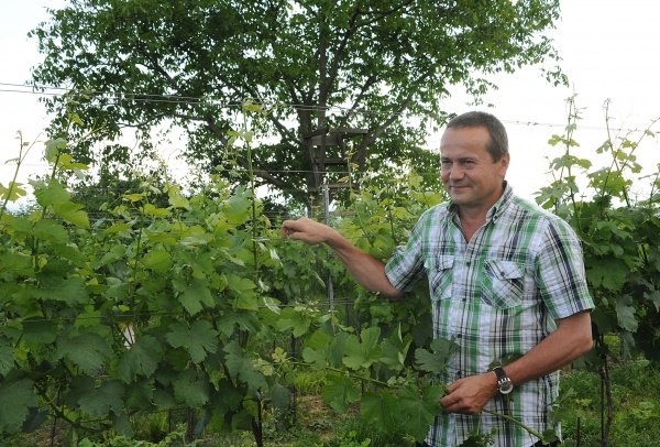 Weingut Leopold Blauensteiner, © Monika Helm