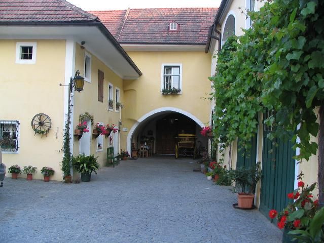 Inner courtyard of a traditional winery with yellow walls, flowers and vines.