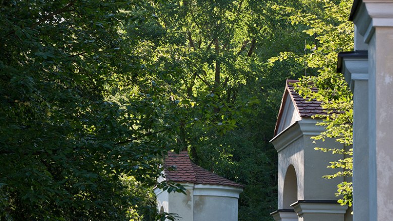 Calvary Unterranna, © Lachlan Blair_LOXPIX