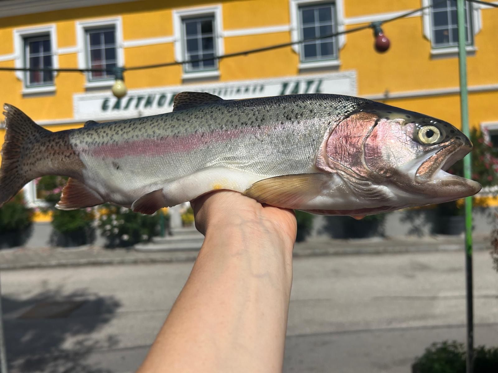 A man is holding up a freshly caught trout in front of the Zatl Inn. 