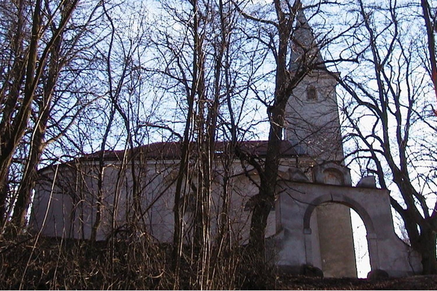 Church on a hill behind bare trees in winter.