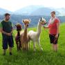 Hiking with the alpacas, &copy; Urlaub am Bauernhof - Fam. Schweighuber
