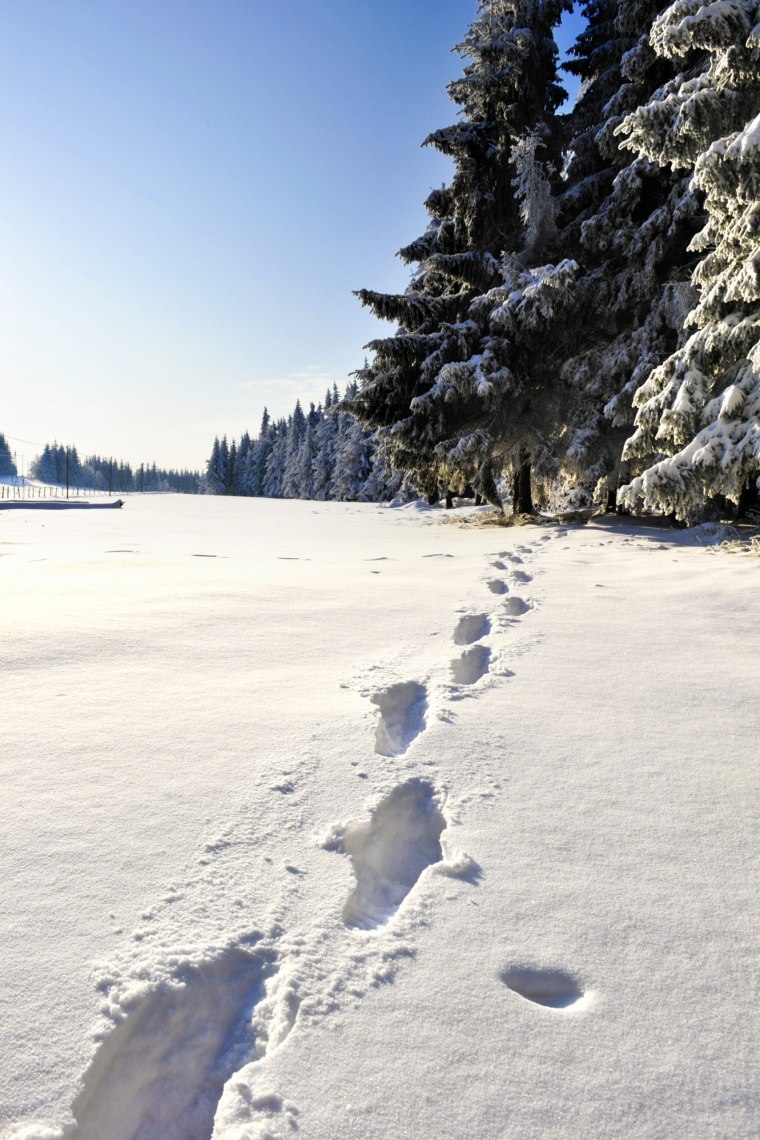 Walking across the vast white landscape., © Naturparke Niederösterreich/Robert Herbst