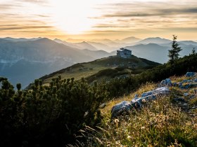 Bergsommer auf der Rax, © Niederösterreich Werbung/Robert Herbst