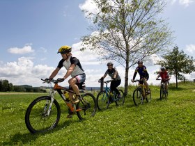 MTB Waldviertel, &copy; &copy; Waldviertel Tourismus, Reinhard Mandl