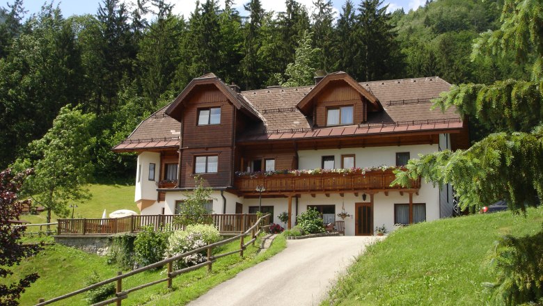 A traditional house with wooden cladding in a green, wooded setting.