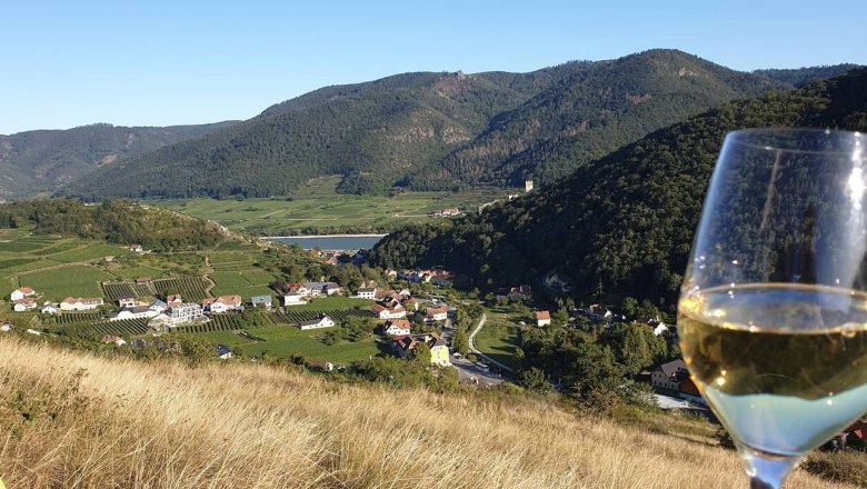 Panorama with wine glass in the foreground, view of a valley with villages and vineyards, surrounded by wooded hills.