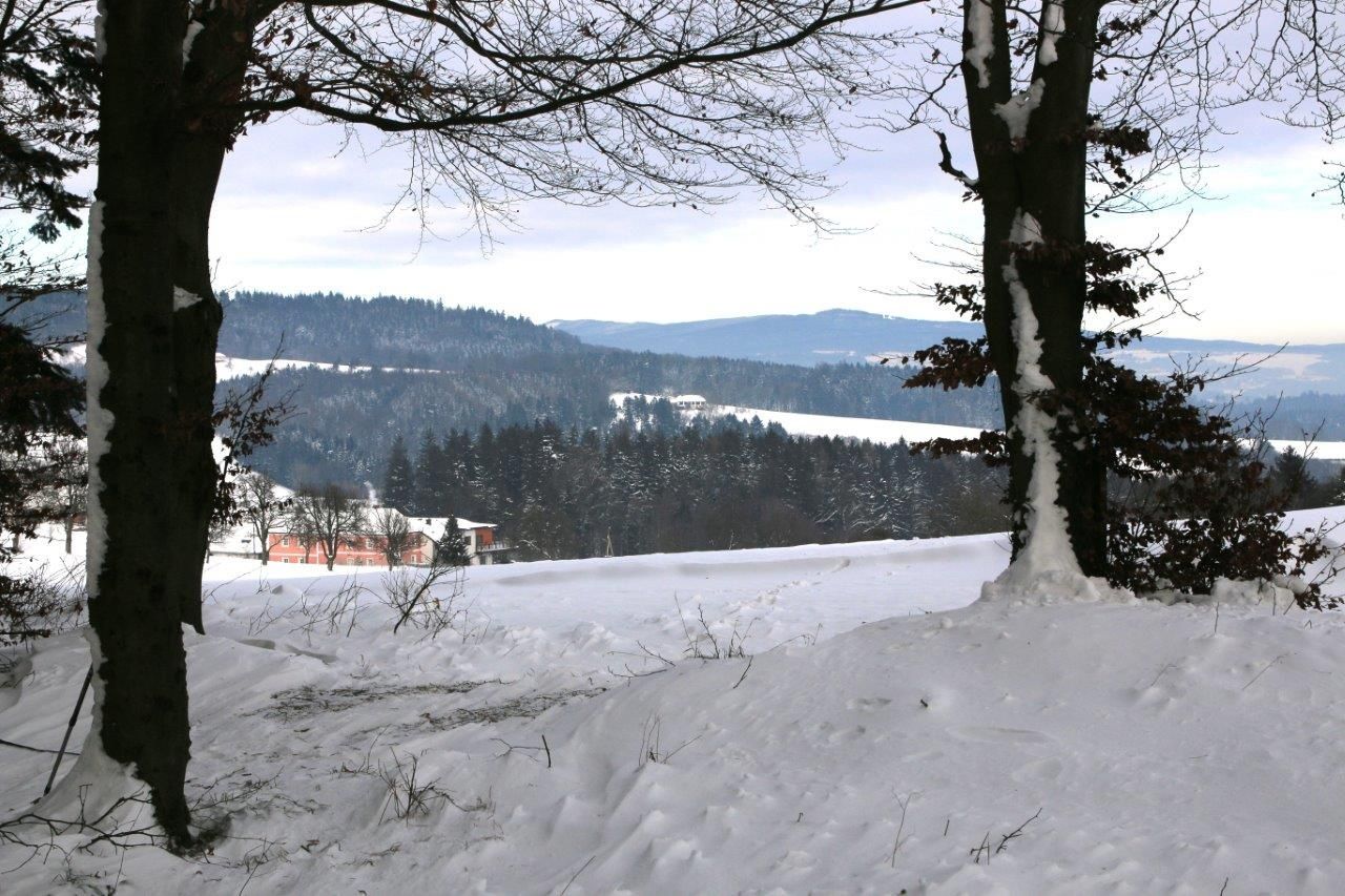 View from the Schotterhöhe to the Ostrong