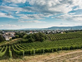 Wasserleitungsweg Baden, &copy; Michael Dittrich