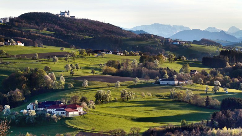 View of the Sonntagberg basilica on a hill, surrounded by green fields and trees, with mountains in the background.