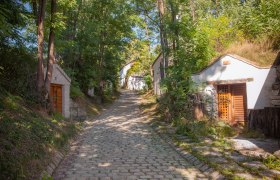 A paved path leads through a forest with small houses built into the hillside.