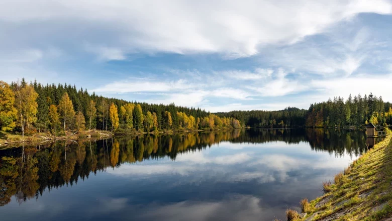 A calm lake with autumn-colored trees and a clear sky.