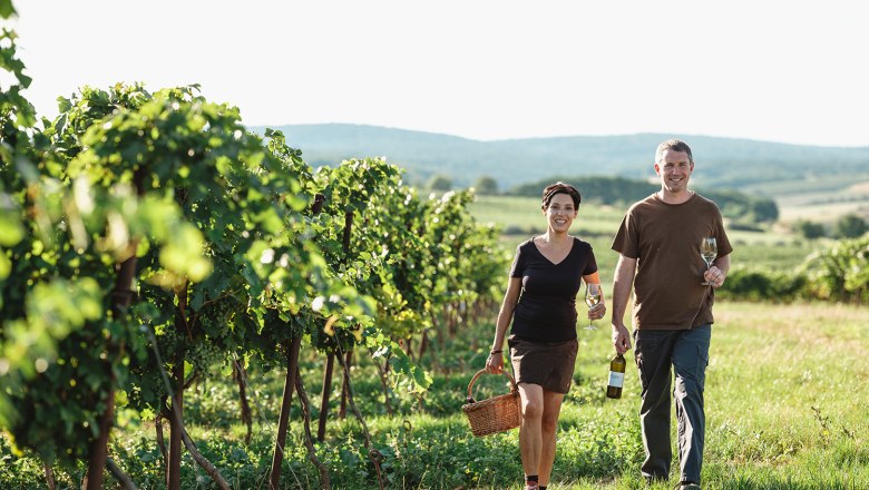 Two people are walking through a vineyard holding wine glasses.