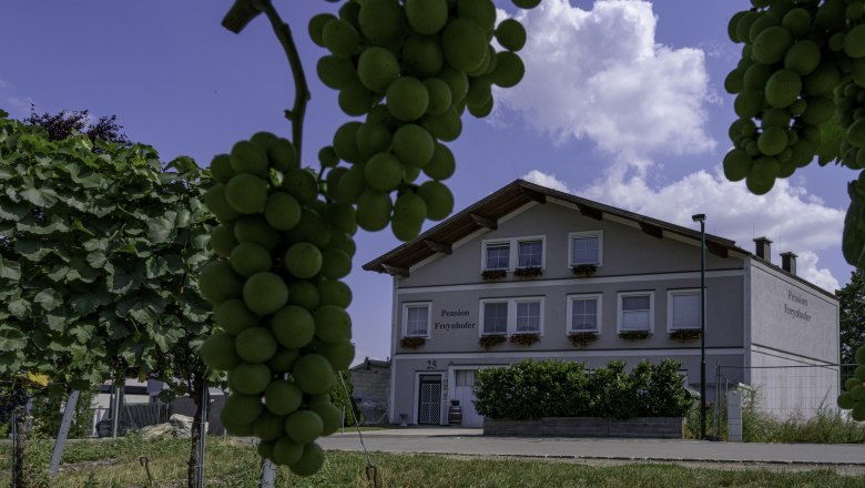 View of the Soosser Winzerhof from the vineyard, &copy; Studeny