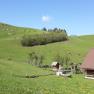 Happy cows on an organic farm, © Andrea Kronsteiner