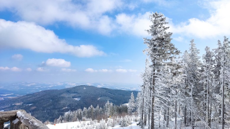 Snow-covered mountain landscape with trees and blue sky.