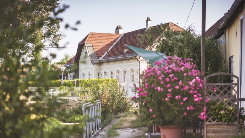 View of the town, © Daniela Matejschek