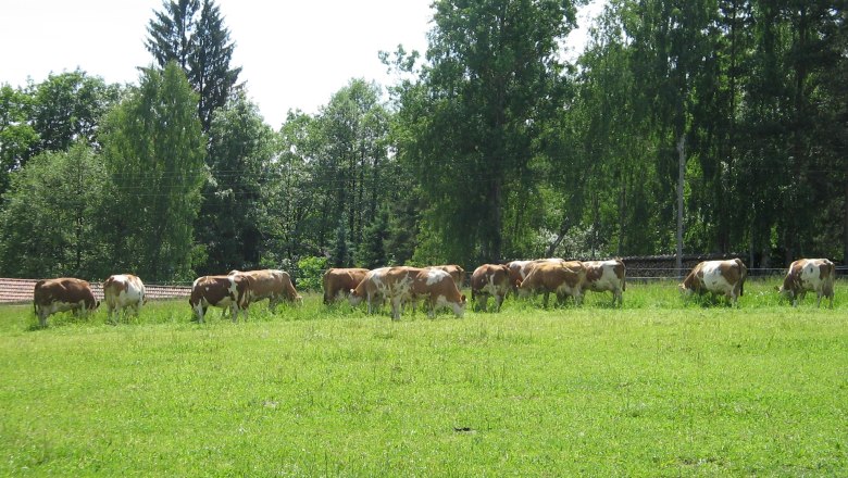 … and wonderful grass grows on this organic meadow!, © Biohof Hammerschmidt